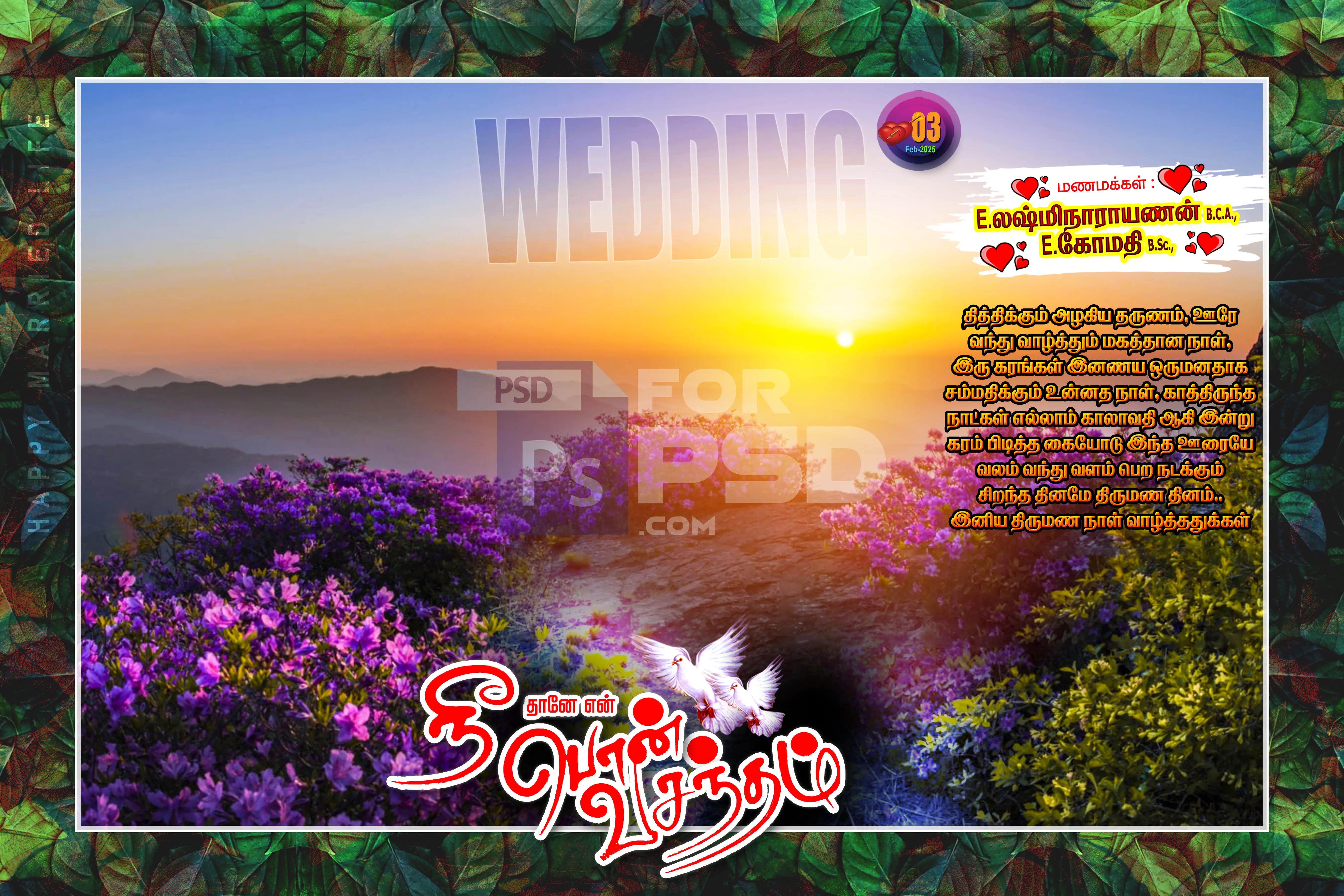 Image Preview